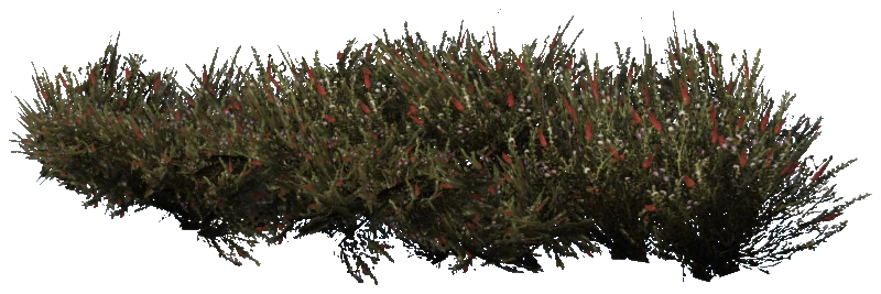 prop_plant_group_01