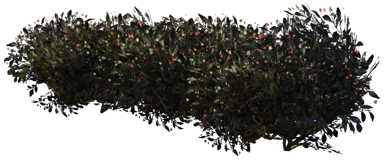 prop_plant_group_02