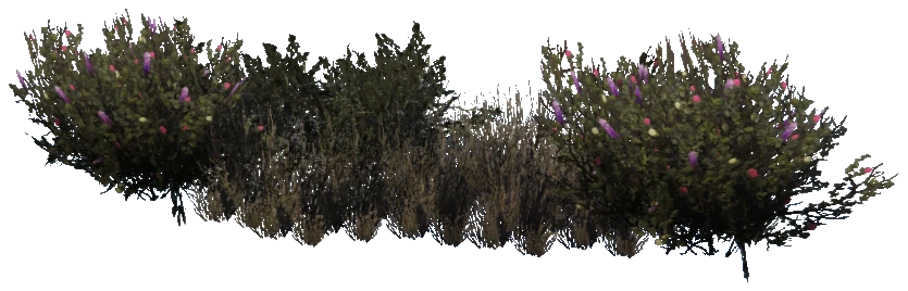 prop_plant_group_03