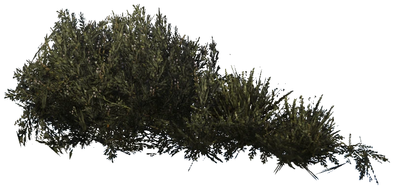 prop_plant_group_04_cr