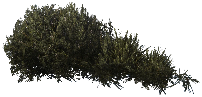 prop_plant_group_04