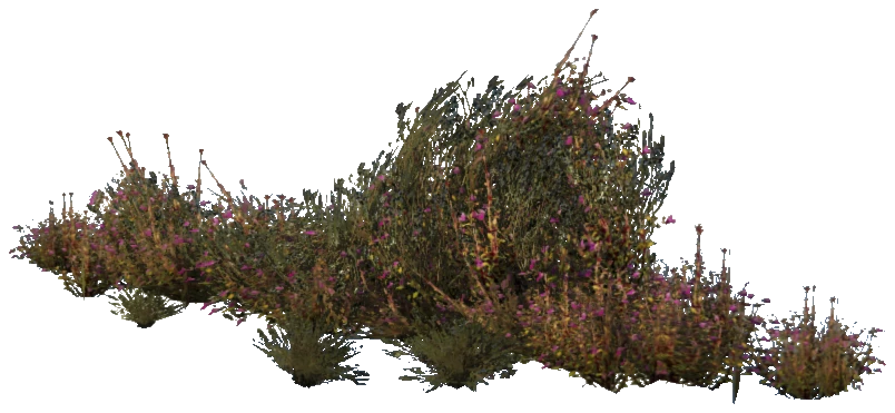 prop_plant_group_05c