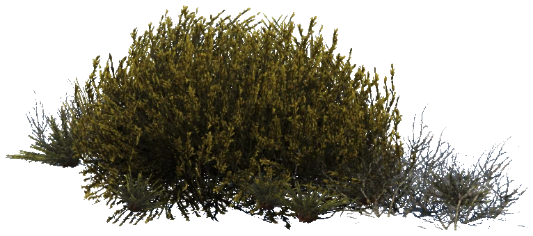 prop_plant_group_05e