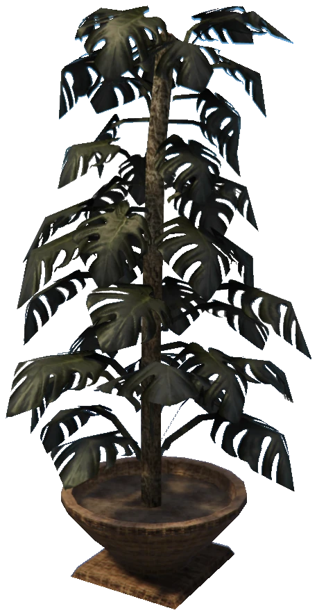 prop_plant_int_01b