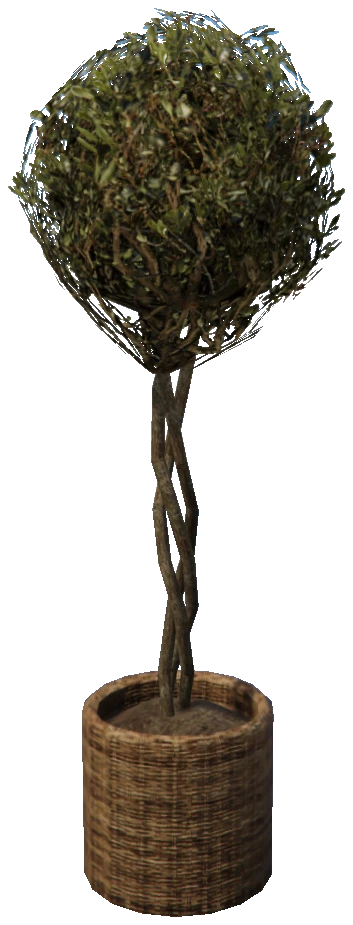prop_plant_int_02b