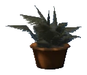 prop_plant_int_04c