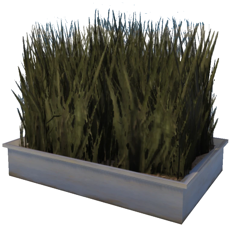 prop_plant_int_06a