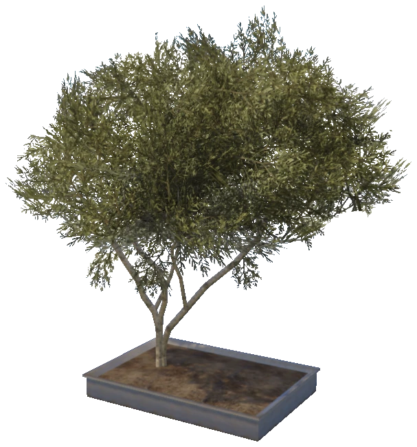 prop_plant_int_06b