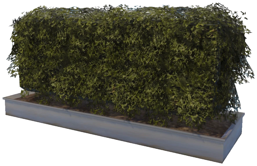 prop_plant_int_06c