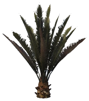 prop_plant_palm_01a