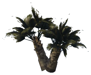 prop_plant_palm_01c