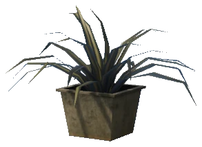 prop_pot_plant_01b