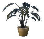 prop_pot_plant_01d