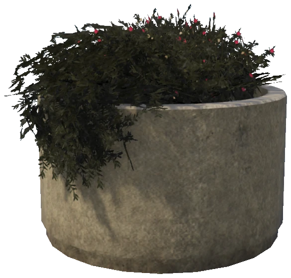 prop_pot_plant_02c