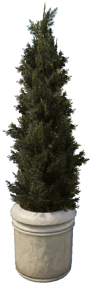 prop_pot_plant_03a