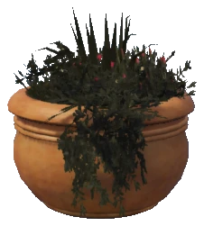 prop_pot_plant_03b_cr2