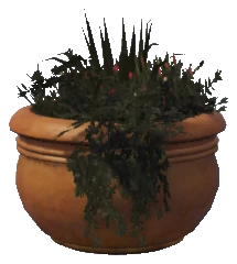prop_pot_plant_03b