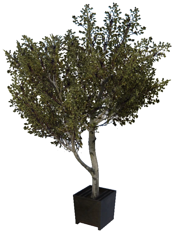 prop_prop_tree_01