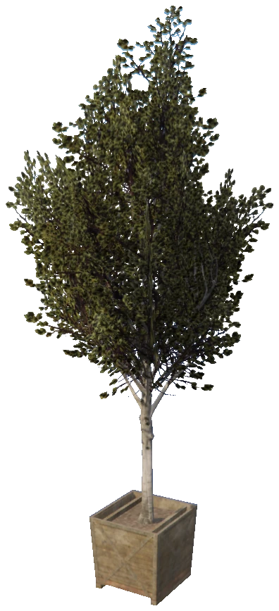 prop_prop_tree_02