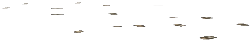 prop_rub_litter_04b