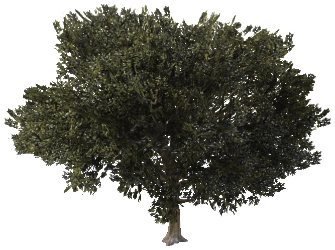 prop_rus_olive