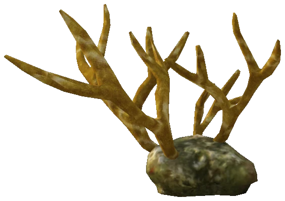 prop_seabrain_01