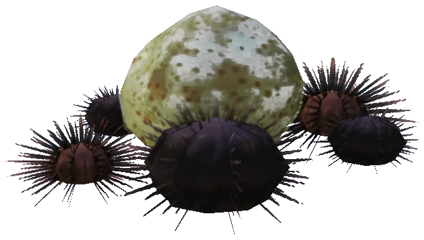 prop_sealife_01