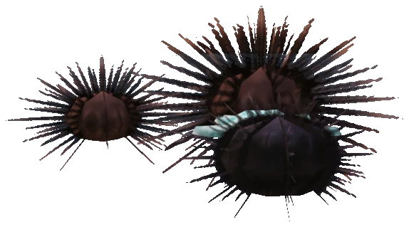 prop_sealife_02