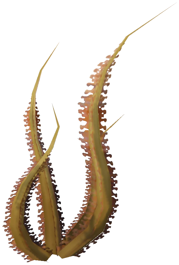 prop_sealife_03