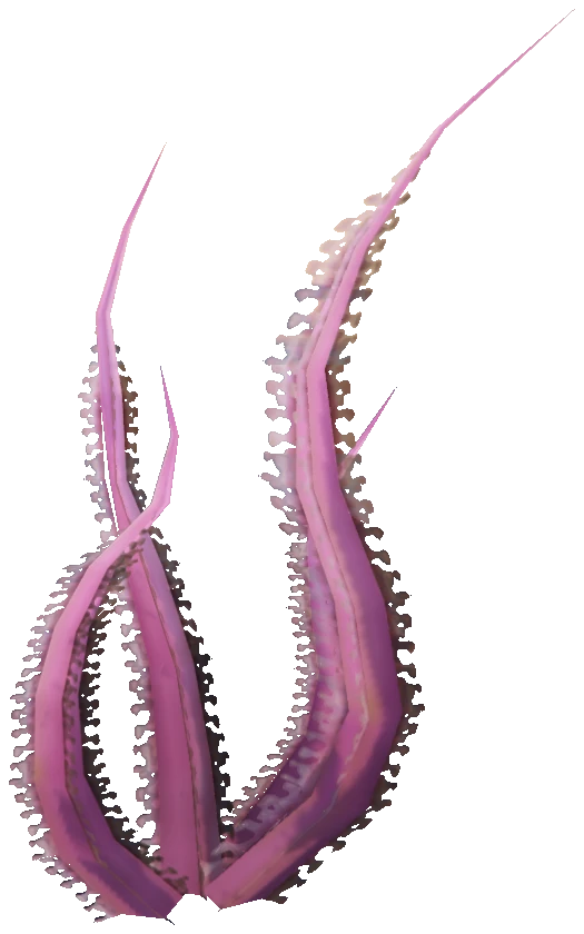 prop_sealife_04