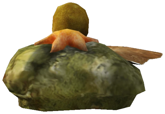 prop_sealife_05