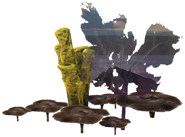 prop_seaweed_02
