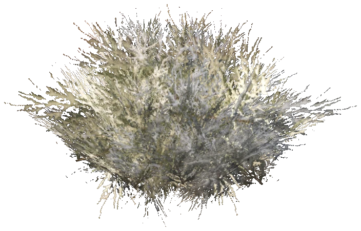 prop_snow_bush_01_a