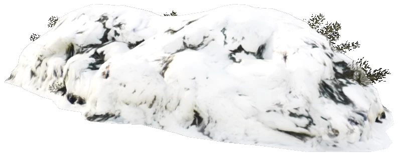 prop_snow_bush_02_a