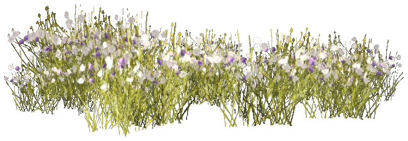 prop_snow_bush_02_b