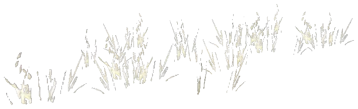 prop_snow_field_01