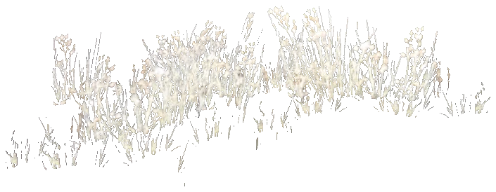 prop_snow_field_02