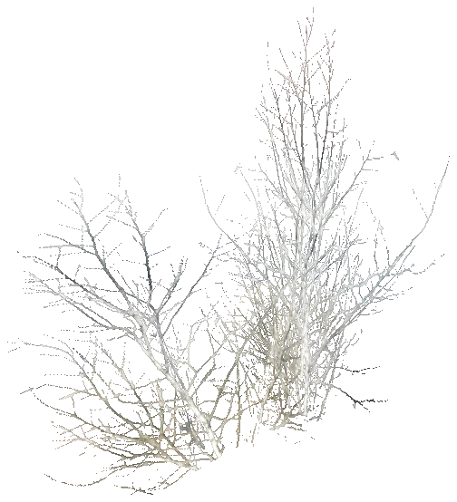prop_snow_field_04