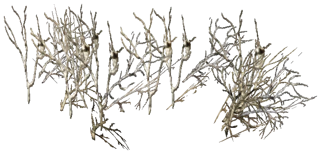 prop_snow_grass_01