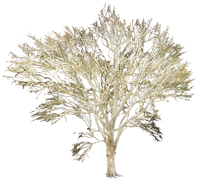 prop_snow_t_ml_01