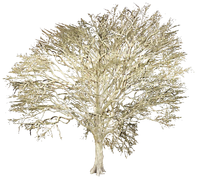 prop_snow_t_ml_02