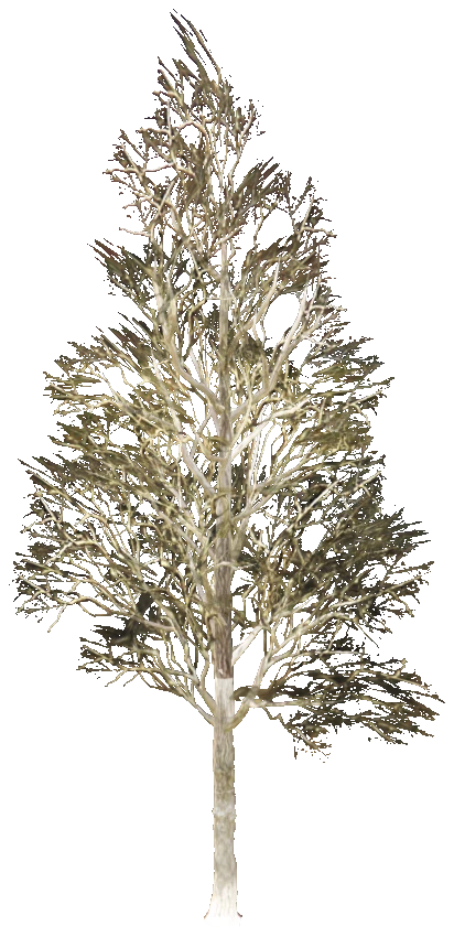 prop_snow_t_ml_cscene