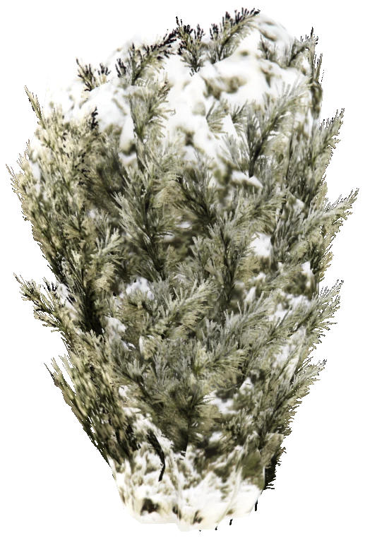 prop_snow_tree_03_e