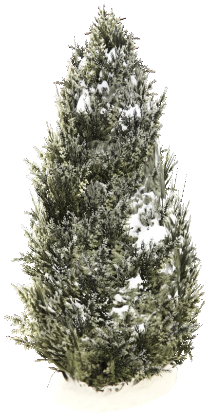 prop_snow_tree_03_h