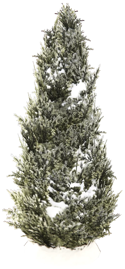 prop_snow_tree_03_i