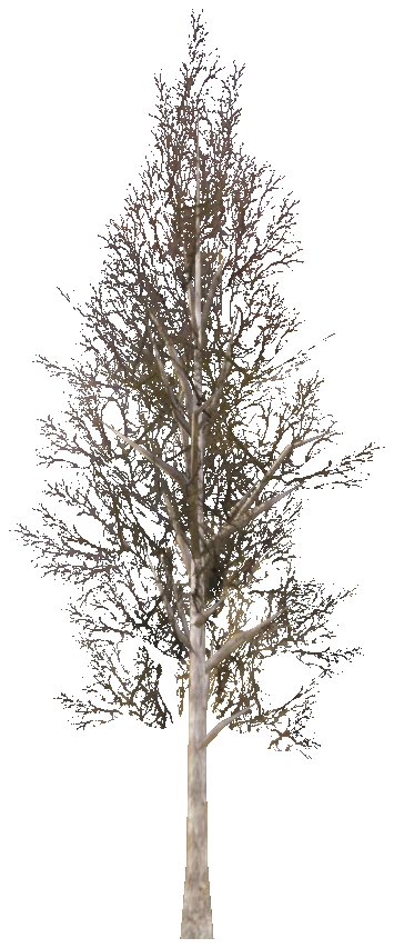 prop_snow_tree_04_d