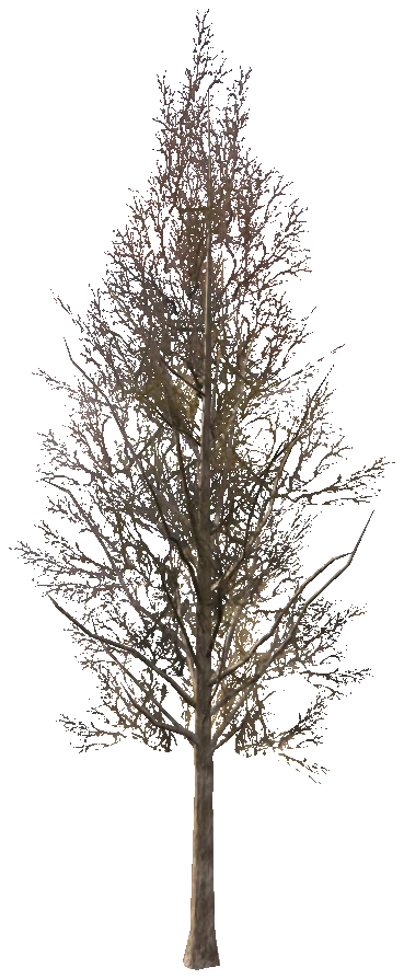 prop_snow_tree_04_f