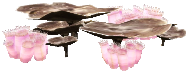 prop_starfish_03