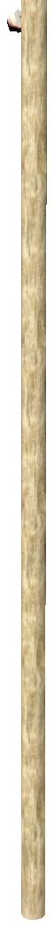 prop_telegraph_06c