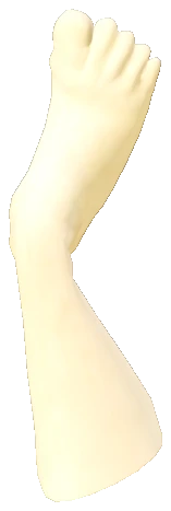 prop_toiletfoot_static